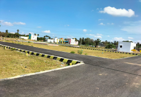 800 Sq.Ft Land for sale in Potheri