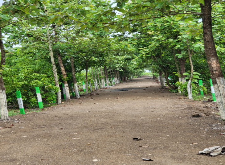 10000 Sq.Ft, Agricultural farm land for sale in GST Road