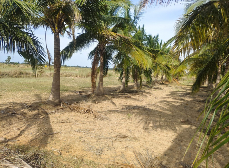 Commercial Property for sale in Red Hills
