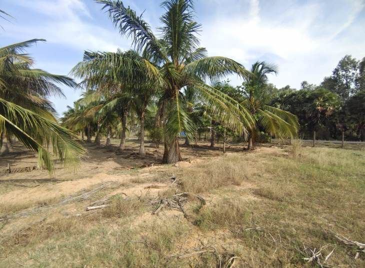 10000 Sq.Ft, Agricultural farm land for sale in Red Hills