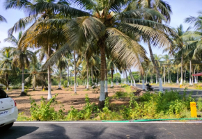 1000 Sq.Ft Land for sale in Panaiyur