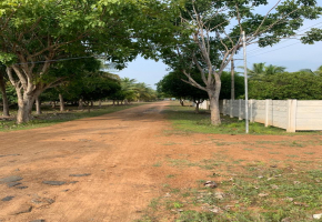 14388 Sq.Ft Land for sale in ECR