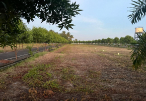 1000 Sq.Ft Land for sale in Vandalur