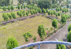 1131 Sq.Ft Land for sale in Red Hills