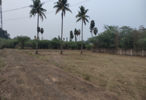 1650 Sq.Ft Land for sale in Maraimalai Nagar