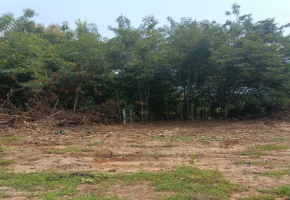 1800 Sq.Ft Land for sale in Thalambur