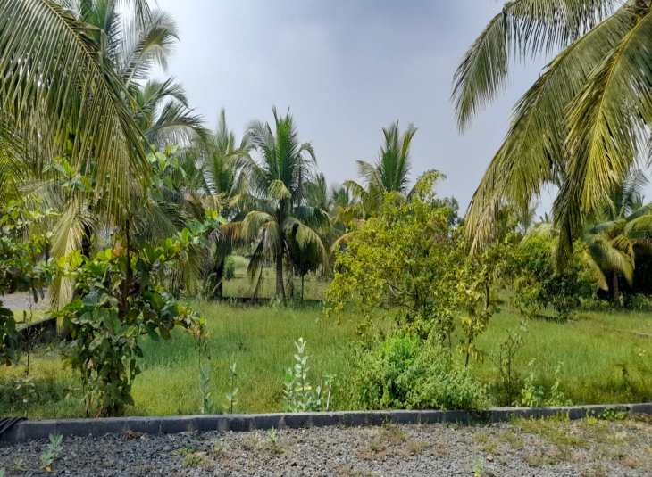 1901 Sq.Ft, Agricultural farm land for sale in Guduvanchery