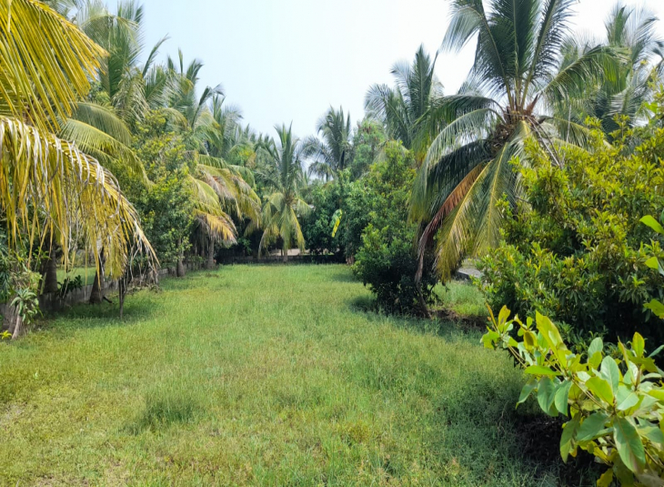1901 Sq.Ft, Agricultural farm land for sale in Guduvanchery