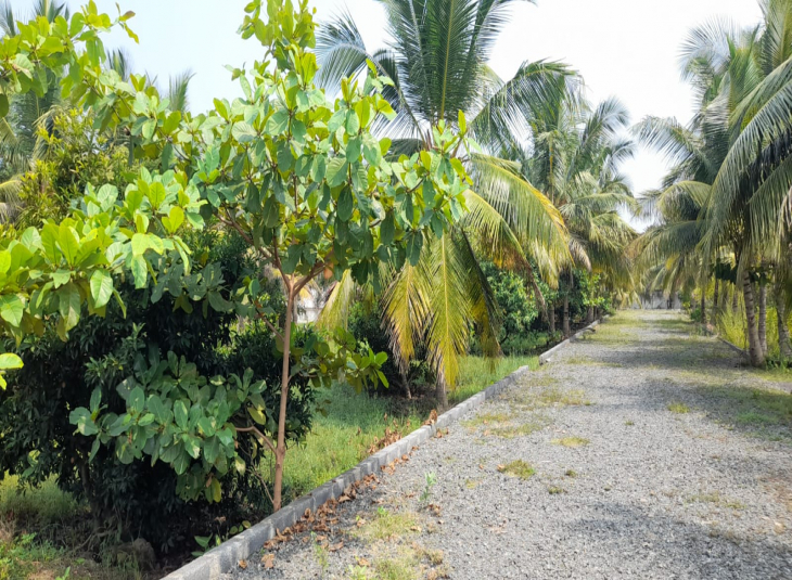 1901 Sq.Ft, Agricultural farm land for sale in Guduvanchery