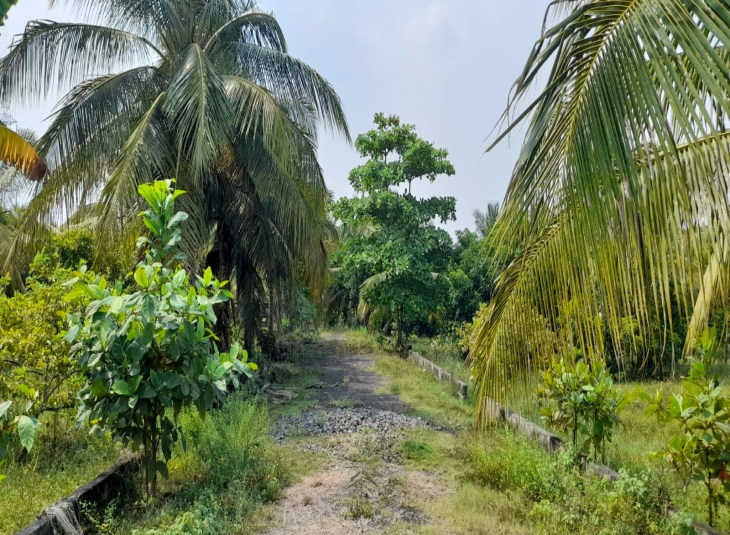Commercial Property for sale in Guduvanchery