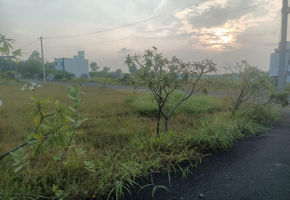 1000 Sq.Ft Land for sale in Kelambakkam
