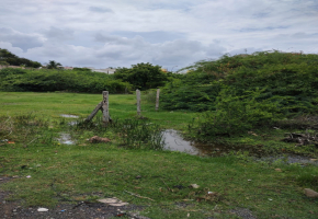 2400 Sq.Ft Land for sale in Pallikaranai