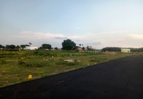 880 Sq.Ft Land for sale in Potheri