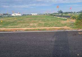 1000 Sq.Ft Land for sale in Avadi