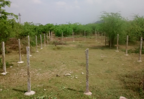 2250 Sq.Ft Land for sale in GST Road