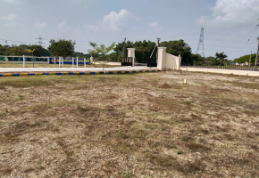 1000 Sq.Ft Land for sale in Chengalpet