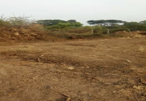 1200 Sq.Ft Land for sale in Perungavur