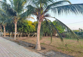 6635 Sq.Ft Land for sale in Chengalpet