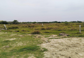 1103 Sq.Ft Land for sale in Guduvanchery