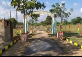 1800 Sq.Ft Land for sale in Walajabad